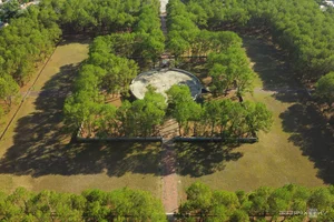 VnExpress Marathon Hue 2025: 11 Free Attractions for Participants to Explore - image 6