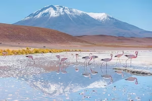 Discover Salar de Uyuni: A Spectacular Mirror Effect at the World's Largest Salt Flat, Where Sky Meets Earth - image 5
