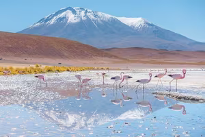 Discover Salar de Uyuni: A Spectacular Mirror Effect at the World's Largest Salt Flat, Where Sky Meets Earth - image 4