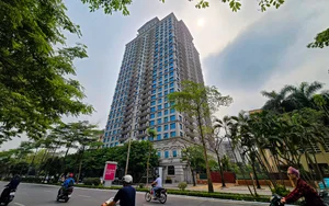 Luxury Real Estate Update: Tan Hoang Minh Ultra-Luxury Apartment Project Undergoes Surprise Rebranding and Name Change - image 3