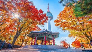Discover the Breathtaking Filming Locations of 'Can This Love Be Translated?' in Italy, Japan, and Canada for Your Next Romantic Getaway - image 8