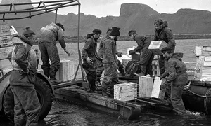 Inside the Penguin Paradise: Navigating Wildlife Conservation and Global Trade Impacts - image 2