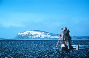 Inside the Penguin Paradise: Navigating Wildlife Conservation and Global Trade Impacts - image 5