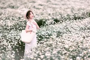Moc Chau's Pure White Daisy Fields: A Muse Amidst a Floral Wonderland, Perfect for Stunning Photoshoots. - image 11