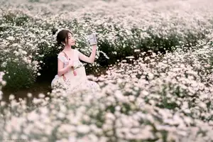 Moc Chau's Pure White Daisy Fields: A Muse Amidst a Floral Wonderland, Perfect for Stunning Photoshoots. - image 5