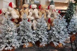Luxurious Christmas Home Decor: Transforming a Living Space into a Lush Pine Forest - image 0