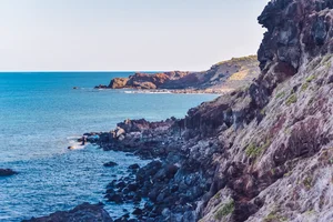 Maximizing Your Phu Quy Island Experience: Tours vs Independent Exploration - image 5