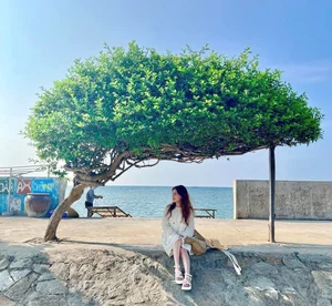 Maximizing Your Phu Quy Island Experience: Tours vs Independent Exploration - image 3