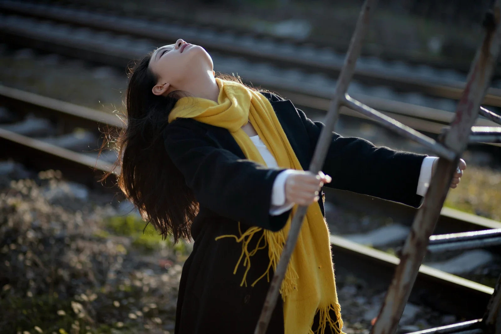 YITUYU Art Language 2024.01.31: A Winter Letter Featuring the Stunning Bu Da Xiao Yao