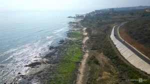 Discovering the Magical Green Mossy Beach of Phan Thiet: A Hidden Gem in Vietnam - image 5