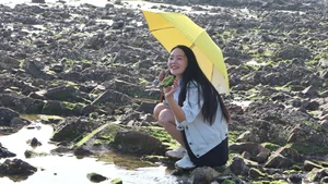 Discovering the Magical Green Mossy Beach of Phan Thiet: A Hidden Gem in Vietnam - image 0