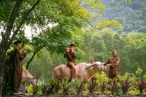 Discover Ninh Binh: Over 300,000 Tourists Flock to Vietnam’s Stunning Tourism Week - image 3