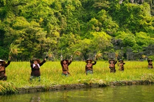 Discover Ninh Binh: Over 300,000 Tourists Flock to Vietnam’s Stunning Tourism Week - image 6