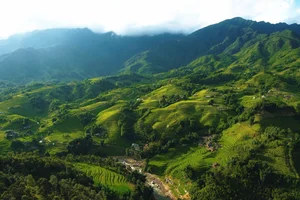 Breathtaking Golden Harvest: Exploring the Scenic Beauty of Y Linh Ho Village - image 5