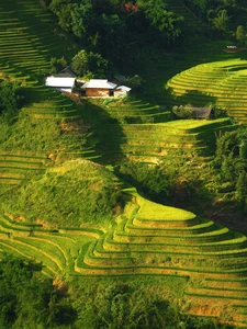 Breathtaking Golden Harvest: Exploring the Scenic Beauty of Y Linh Ho Village - image 9