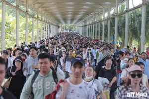 Massive Crowds Flock to Dai Nam Park as Nguyen Phuong Hang Offers Free Entry - image 5