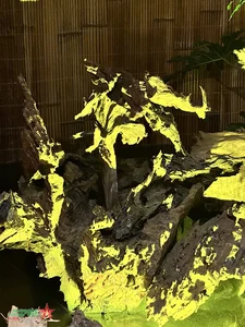 Illuminating the Past: Telling Vietnamese History Through the Unique Art of Light Sculpture - image 1