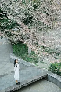 Long Xing Er: Graceful Cherry Blossom Muse – YiTuYu Vol.8741 Poetic Portrait - image 3