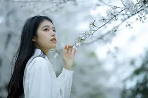 Long Xing Er: Graceful Cherry Blossom Muse – YiTuYu Vol.8741 Poetic Portrait - image 15