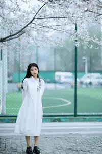 Long Xing Er: Graceful Cherry Blossom Muse – YiTuYu Vol.8741 Poetic Portrait - image 19