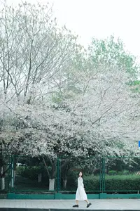 Long Xing Er: Graceful Cherry Blossom Muse – YiTuYu Vol.8741 Poetic Portrait - image 13