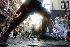 The Ultimate Guide to Spain's Thrilling Running of the Bulls: Tradition, Adrenaline, and Cultural Heritage in Pamplona - image 16