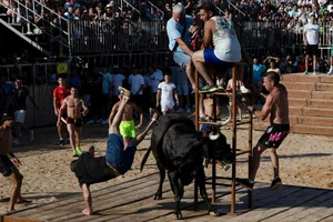 The Ultimate Guide to Spain's Thrilling Running of the Bulls: Tradition, Adrenaline, and Cultural Heritage in Pamplona - image 6