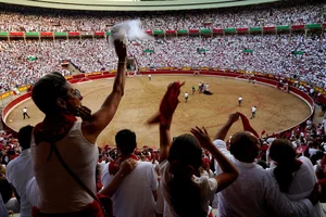 The Ultimate Guide to Spain's Thrilling Running of the Bulls: Tradition, Adrenaline, and Cultural Heritage in Pamplona - image 5