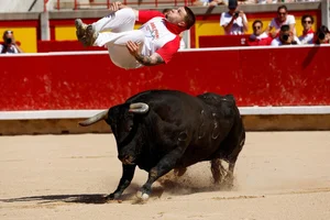 The Ultimate Guide to Spain's Thrilling Running of the Bulls: Tradition, Adrenaline, and Cultural Heritage in Pamplona - image 0
