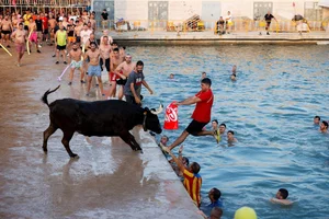 The Ultimate Guide to Spain's Thrilling Running of the Bulls: Tradition, Adrenaline, and Cultural Heritage in Pamplona - image 15