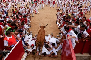 The Ultimate Guide to Spain's Thrilling Running of the Bulls: Tradition, Adrenaline, and Cultural Heritage in Pamplona - image 9