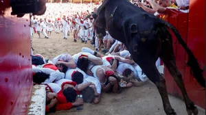 The Ultimate Guide to Spain's Thrilling Running of the Bulls: Tradition, Adrenaline, and Cultural Heritage in Pamplona - image 11