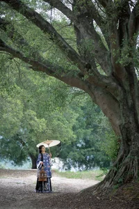 Timeless Elegance: Xin Xin in YiTuYu Art Language Vol.8883 - image 5