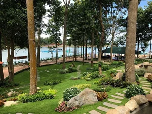 Why Tri An Lake Tourist Area Is Temporarily Closed: Latest Updates - image 9