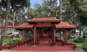Why Tri An Lake Tourist Area Is Temporarily Closed: Latest Updates - image 4