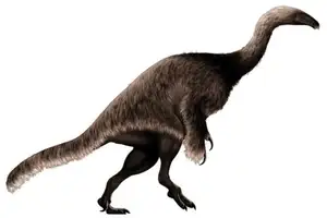 Discover Nothronychus: The Bizarre Dinosaur with 30cm Claws and Tiny Head - image 5