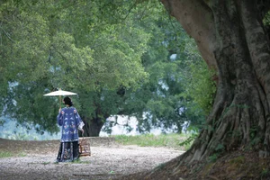Timeless Elegance: Xin Xin in YiTuYu Art Language Vol.8883 - image 36