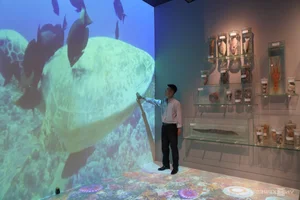 Central Vietnam's Most Beautiful Museum Set to Open - image 11