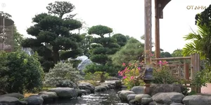 Exploring the Massive 2-Hectare Ornamental Tree and Art Stone Garden of FPT's Vice Chairman - image 8