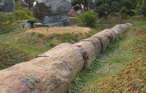 Exploring the Massive 2-Hectare Ornamental Tree and Art Stone Garden of FPT's Vice Chairman - image 1