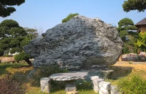 Exploring the Massive 2-Hectare Ornamental Tree and Art Stone Garden of FPT's Vice Chairman - image 2