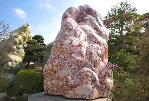 Exploring the Massive 2-Hectare Ornamental Tree and Art Stone Garden of FPT's Vice Chairman - image 3