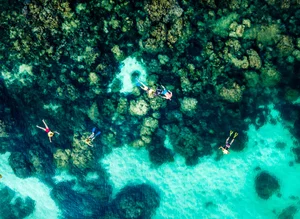 Phu Quoc Travel Guide 2024: The Ultimate Island Experience from A-Z - image 8