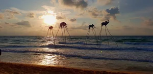 Phu Quoc Travel Guide 2024: The Ultimate Island Experience from A-Z - image 9