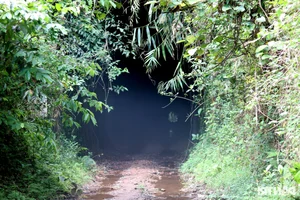 The 65km Aerial Railway: A 20th Century Engineering Marvel Linking Vietnam and Laos - image 1
