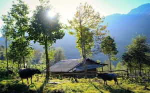 Trekking the Roof of Mu Cang Chai: A Winter Adventure in Vietnam's Northern Highlands - image 3