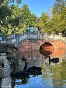 Chi Pu Explores Yunnan with Ella Chen and Gong Linna: A Beautiful Reunion - image 3