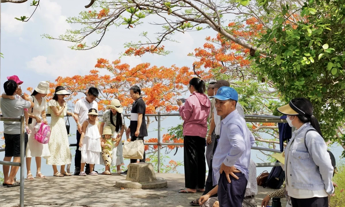 Summer in Bloom: Vung Tau’s Stunning Red Flamboyant Tree Roads