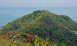 Summer in Bloom: Vung Tau’s Stunning Red Flamboyant Tree Roads - image 2