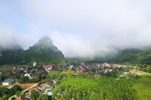 Discover Tan Hoa: The Resilient Vietnamese Village Named Among the World's Best Tourism Destinations by UNWTO - image 4